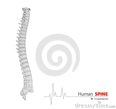 Illustration of Human spine abstract scientific background Stock Photo