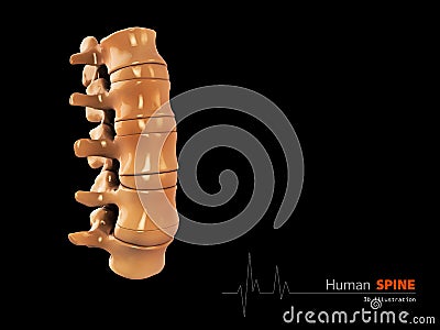 Illustration of Human spine abstract scientific background Stock Photo