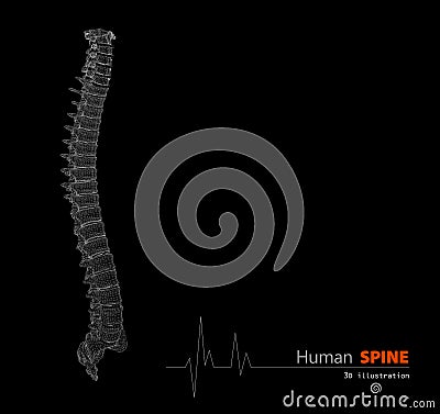 Illustration of Human spine abstract scientific background Stock Photo