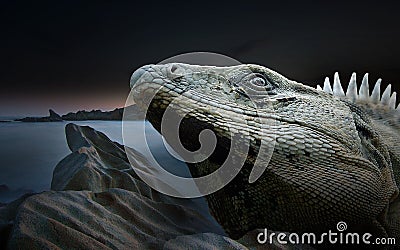 Illustration of an iguana head with a sea on the background Cartoon Illustration