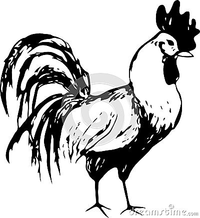 Illustration with the image of a rooster in black and white. Vector Vector Illustration