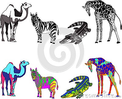 Illustration with the image of zebra, giraffe, crocodile and camel, made black, white and bright different colors Stock Photo