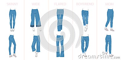 Illustration of jeans types Stock Photo