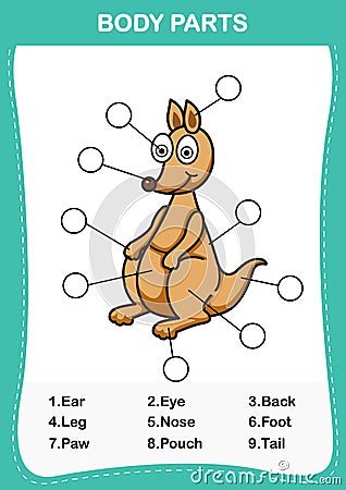 Illustration of kangaroo vocabulary part of body Vector Illustration