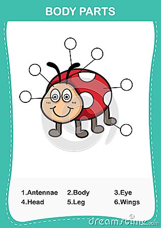 Illustration of lady bug vocabulary part of body Vector Illustration