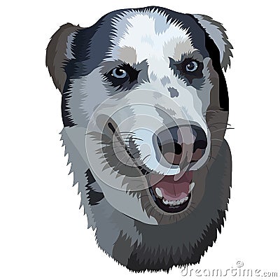 Laika. Dog Vector Illustration
