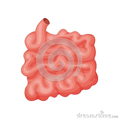 Illustration of large vector ntestine. Vector Illustration