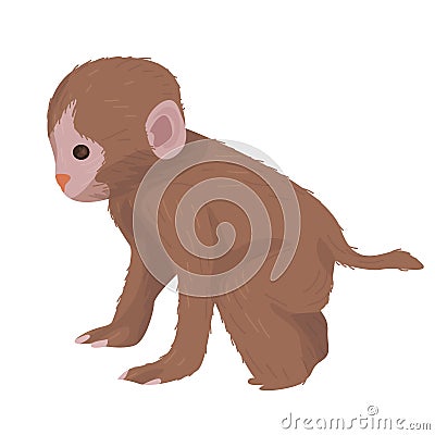 Illustration of a little monkey isolated on white background. chimpanzee. toque. wildlife and zoos. tropical animals. Stock Photo