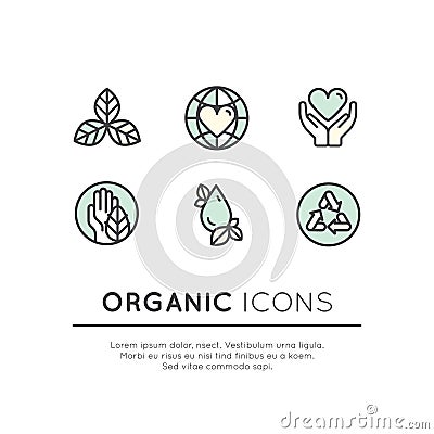 Illustration Logo Set Badge Fresh Organic Products Stock Photo