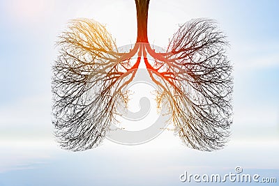 Illustration of lung tree Environment and Medicine Stock Photo