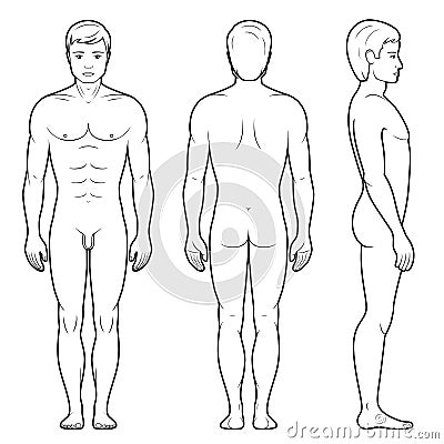 Illustration of male figure Vector Illustration