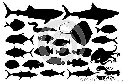 Illustration of marine animals Vector Illustration