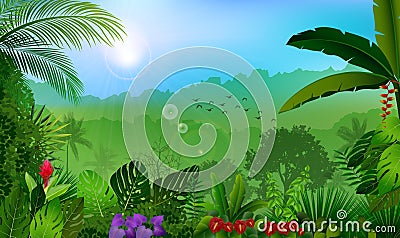 Morning in jungle rain forest background Vector Illustration