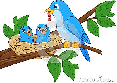 Mother blue bird feeding babies in a nest Vector Illustration