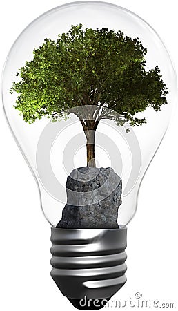 Light Bulb, Tree, Environment, Isolated, Energy, Green Stock Photo