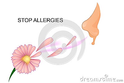 Illustration of the nose sniffing a flower. Vector Illustration