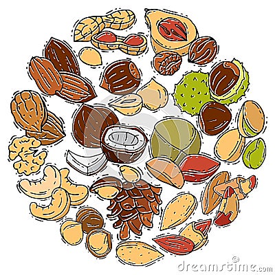 Illustration of nuts and seeds collection circle. Pattern of pecan, cashew, almond in circle form. Different nuts Vector Illustration