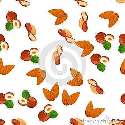 Illustration of nuts Vector Illustration