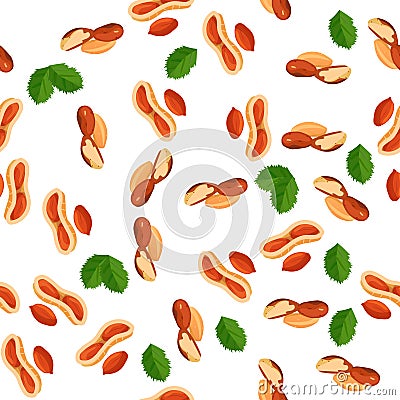 Illustration of nuts Vector Illustration