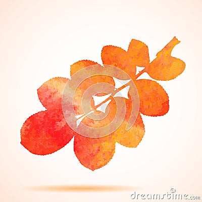 Illustration of Orange watercolor dog-rose leaf Vector Illustration