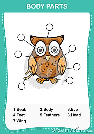 Illustration of owl vocabulary part of body Vector Illustration