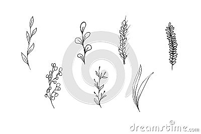 Illustration of flower element pattern Stock Photo