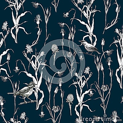 Illustration, pencil. A pattern of leaves and branches of plants, birds. Freehand drawing of flowers on a blue background Stock Photo