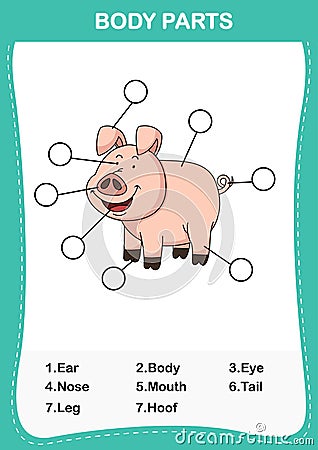 Illustration of pig vocabulary part of body Vector Illustration