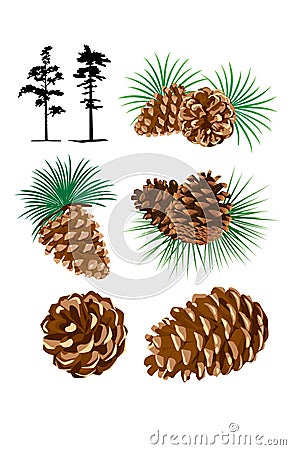 Illustration of pine cones Vector Illustration