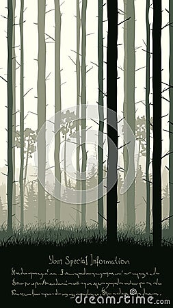 Illustration with pine trunks and grass of coniferous wood and place for text Vector Illustration