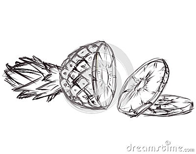 Illustration of pineapple. Ske Stock Photo