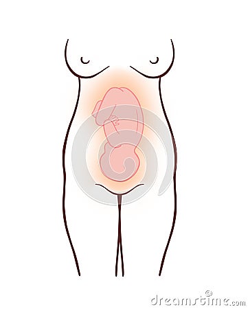 Illustration of pregnant woman Stock Photo