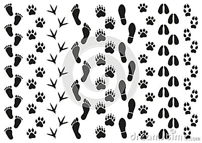 Prints of traces of people and animals on a white background Vector Illustration