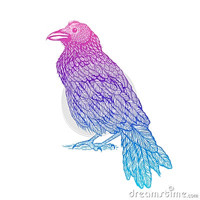 Illustration of raven line art style. Vector illustration of crow hand drawn Vector Illustration