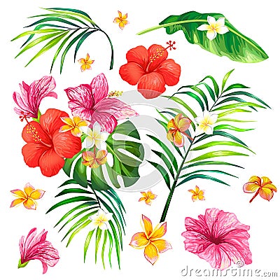 illustration of a realistic style branch of a tropical palm tree with hibiscus flowers Cartoon Illustration