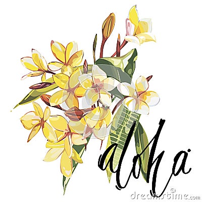 Illustration with realistic watercolor Plumeria flowers. Beautiful bouquet with tropical plants and word-Aloha. Stock Photo