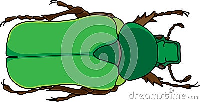 An illustration of a rose chafer beetle, Rhomborrhina resplendens vector Vector Illustration