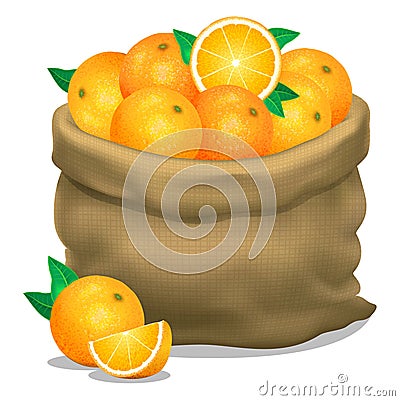 Illustration of a sack of oranges on a white background. Vector Vector Illustration