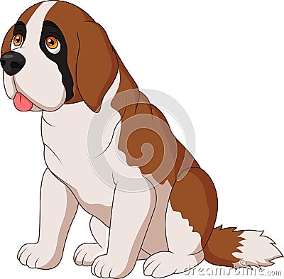 Saint Bernard dog breed Vector Illustration