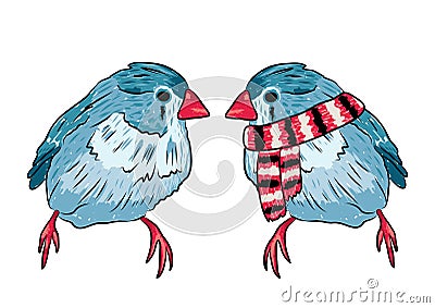 illustration of the same bird warm dressed and undressed Cartoon Illustration