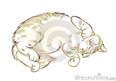 Illustration of satisfied sleeping cat. Digital drawing. Printable sketch of domestic animal. Modern print for fashionable fabric Vector Illustration
