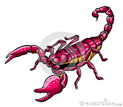 Illustration of scorpion arachnid insect. vector graphics Vector Illustration