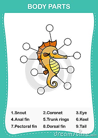 Sea horse vocabulary part of body,Write the correct numbers of body parts Vector Illustration