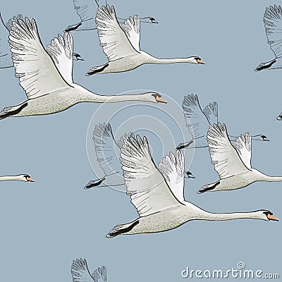 Illustration of Seamless pattern of drawing Flying Swans. Hand drawn, doodle graphic design with birds. Wrapping paper Vector Illustration