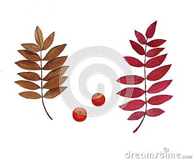 Illustration set autumn leaves and berries rowan watercolor Stock Photo