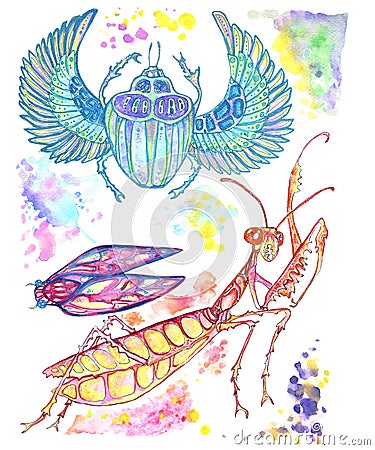 Illustration of a set of cicadas, praying mantis, beetle of sorrows Stock Photo