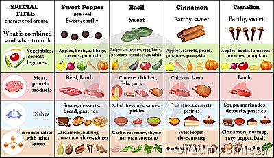 set of spices and herbs and their application for cooking Vector Illustration