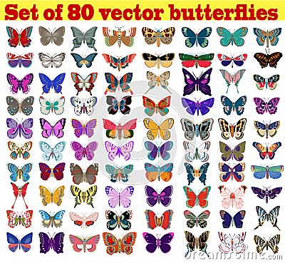 set of summer butterflies on a white background Vector Illustration