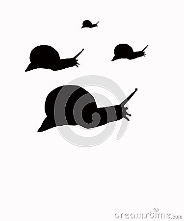 Illustration of the Shades of snails Stock Photo