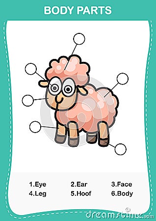 Illustration of sheep vocabulary part of body Vector Illustration